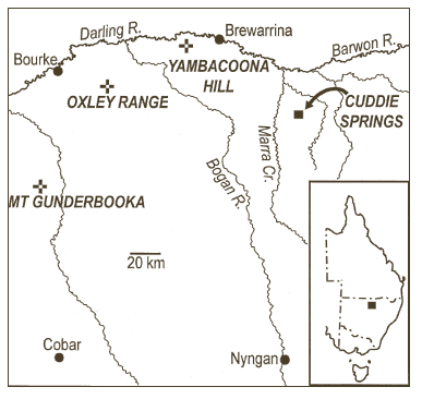 Location of Cuddie Springs, Yambacoona Hill and Mt Oxley in SA Australia (published in Australian Archaeology 56:46).